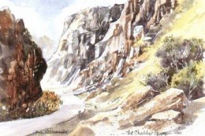 The Cheddar Gorge 1020