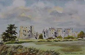 Raglan Castle 0210